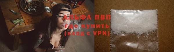 гидра Карпинск