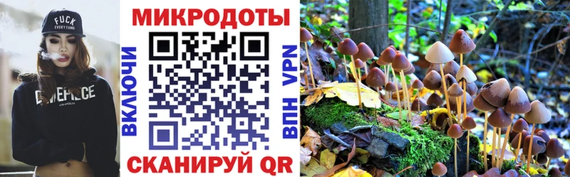 OMG tor  Спас-Клепики  Галлюциногенные грибы Magic Shrooms 